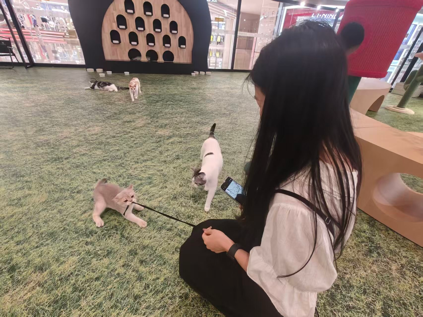 A cat biting Cherish's dress strap in Shenzhen