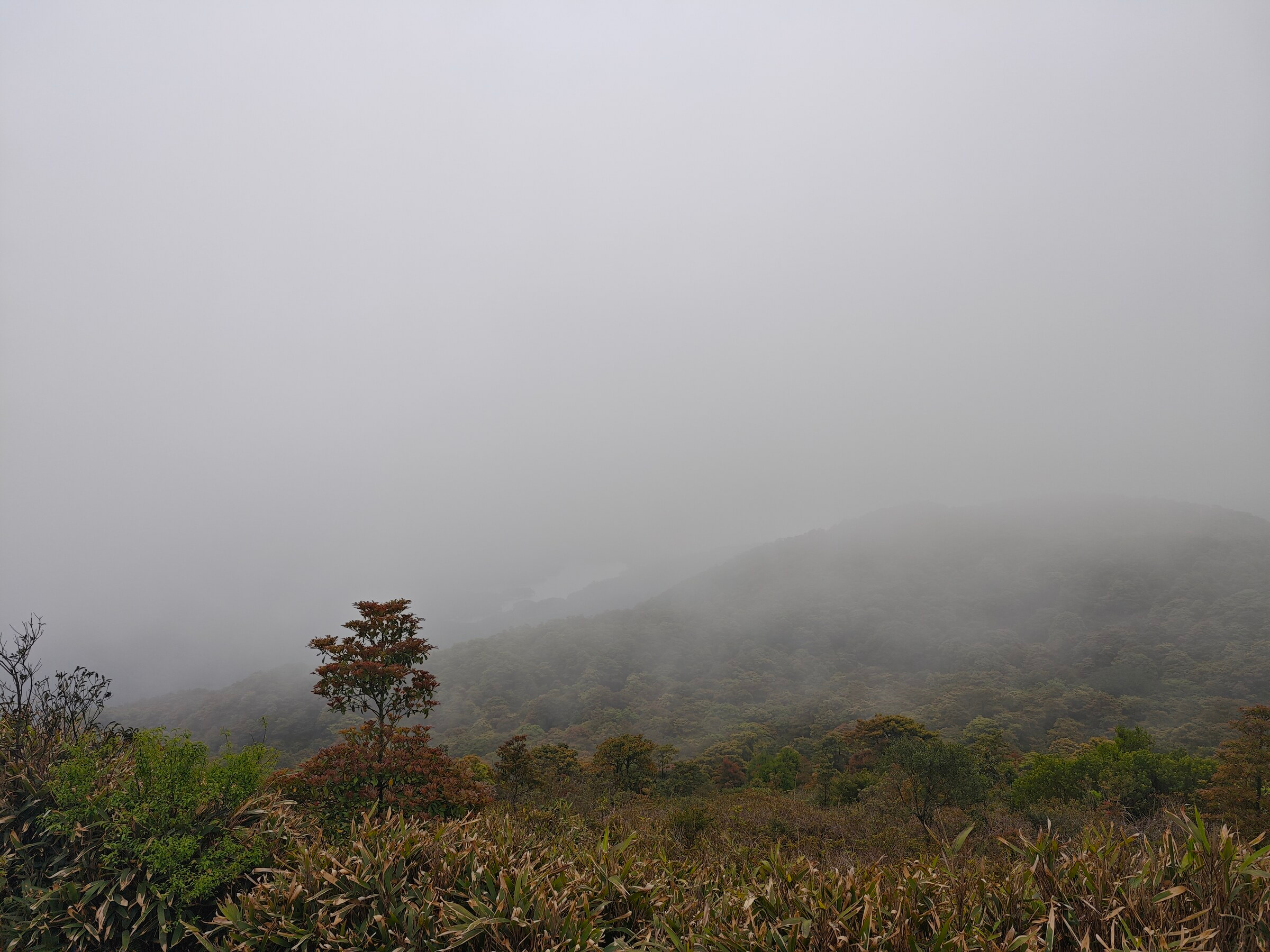 Fog on Tai Mo Shan during Cherish and Judy's hike